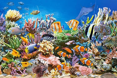 Diamond Painting Aquarium gekleurd met Ronde steentjes 100x70cm - Beste Kwaliteit